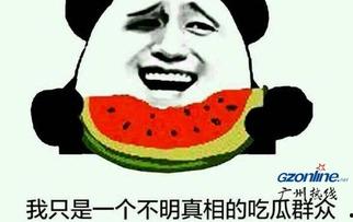 不明真相的吃瓜网,网络舆论场中的神秘力量