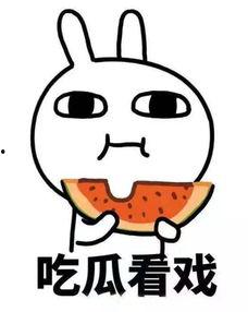 吃网红分手瓜的同时不禁感慨