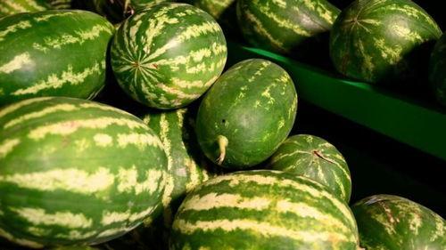 内蒙网红吃瓜事件,揭秘网络舆论背后的真相