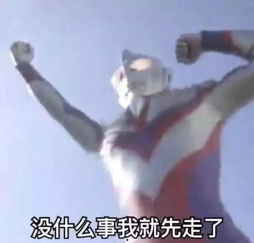 网红学霸吃瓜表情包,趣味横生的学习新风尚