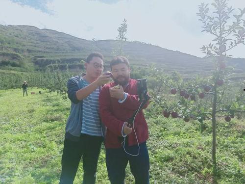 礼县吃瓜网红事件始末是什么,一场网络舆论的风暴与反思