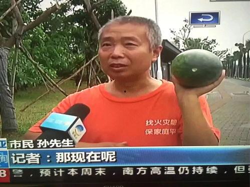 网曝热门事件吃瓜是真的吗,吃瓜群众真相揭秘