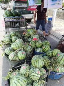 新沂网红吃瓜事件视频曝光,视频曝光引发网友热议