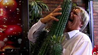 吃瓜网红三太子,吃瓜网红的瓜田传奇